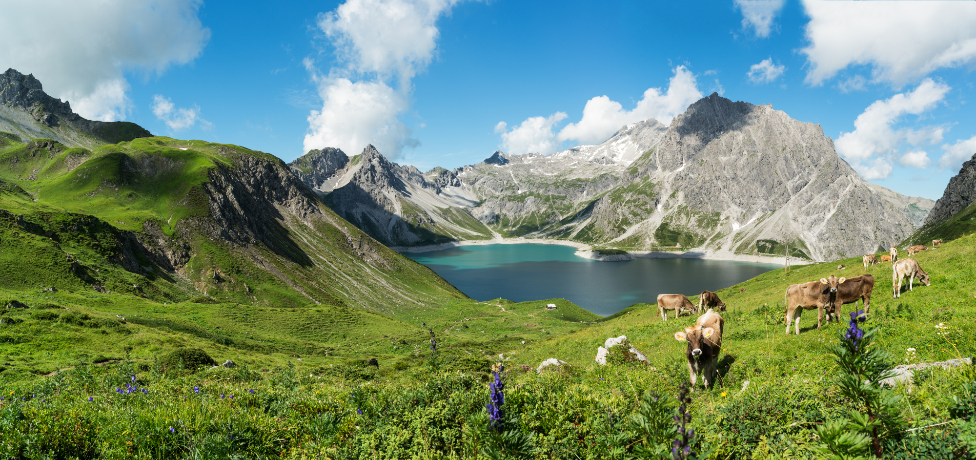 Lünersee Panorama (c) Montafon Tourismus GmbH, Schruns - Manfred Oberhauser.jpg